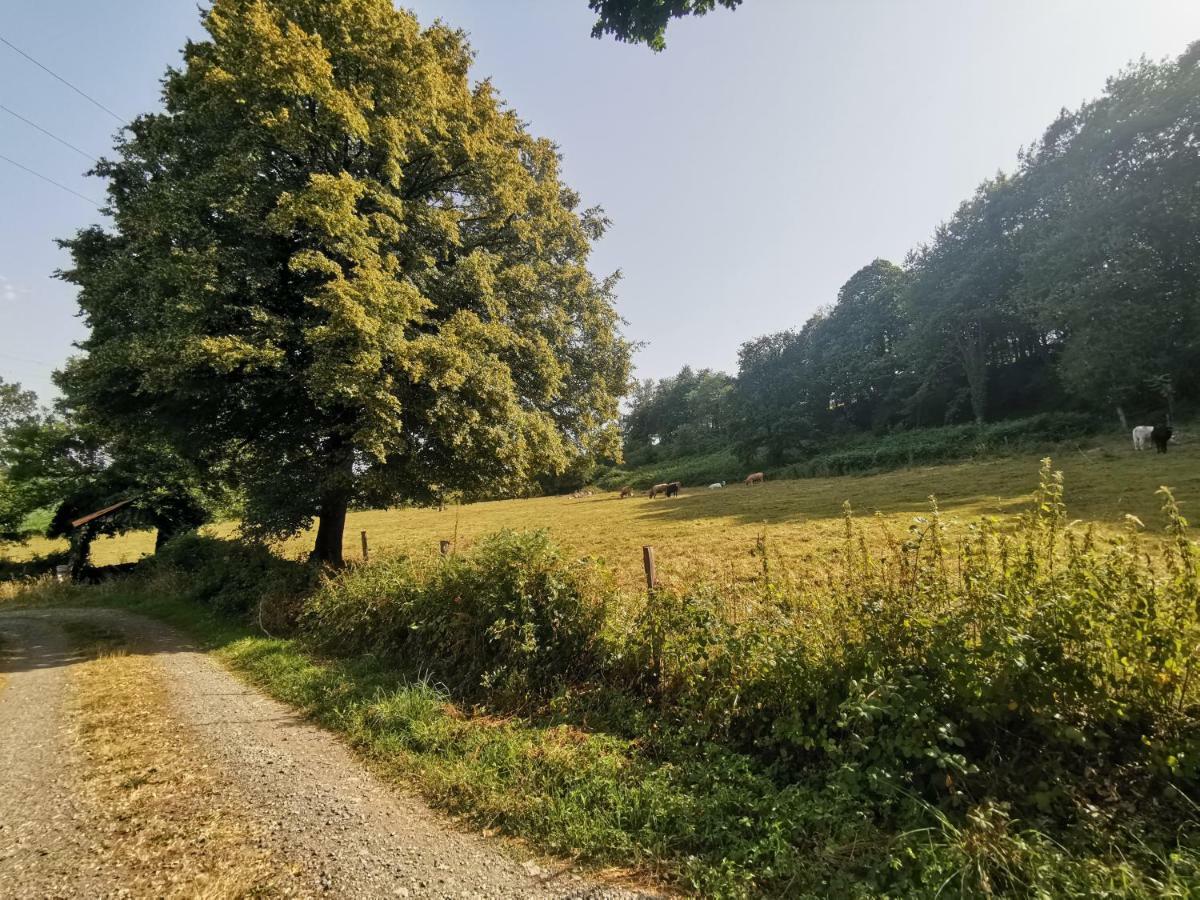 Domaine Lvd Avec Spa, Bois Et Riviere Privee La Bloutiere Dış mekan fotoğraf