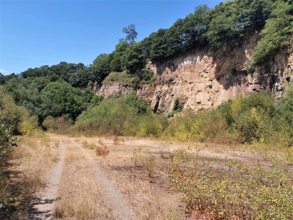 Domaine Lvd Avec Spa, Bois Et Riviere Privee La Bloutiere Dış mekan fotoğraf