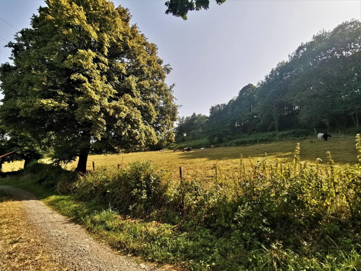 Domaine Lvd Avec Spa, Bois Et Riviere Privee La Bloutiere Dış mekan fotoğraf