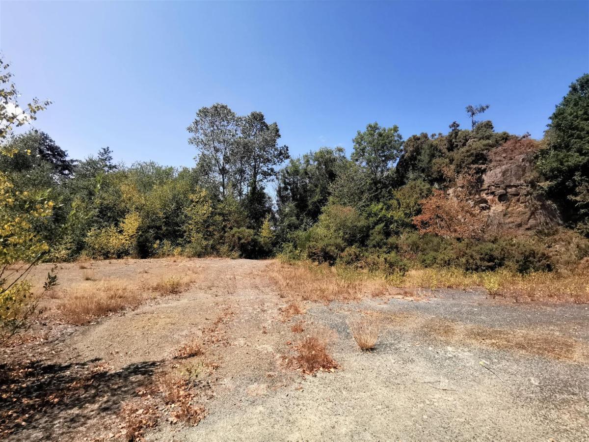 Domaine Lvd Avec Spa, Bois Et Riviere Privee La Bloutiere Dış mekan fotoğraf