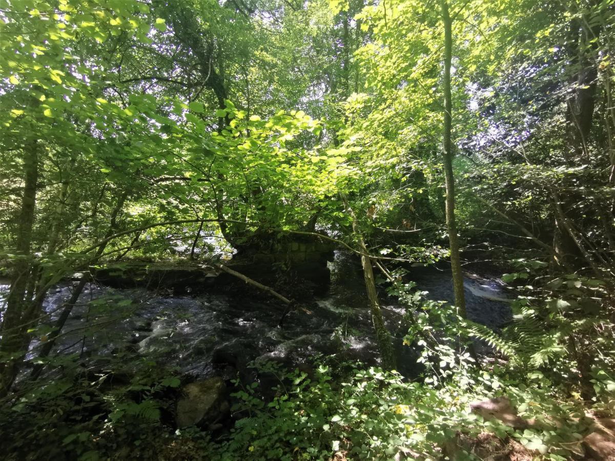 Domaine Lvd Avec Spa, Bois Et Riviere Privee La Bloutiere Dış mekan fotoğraf